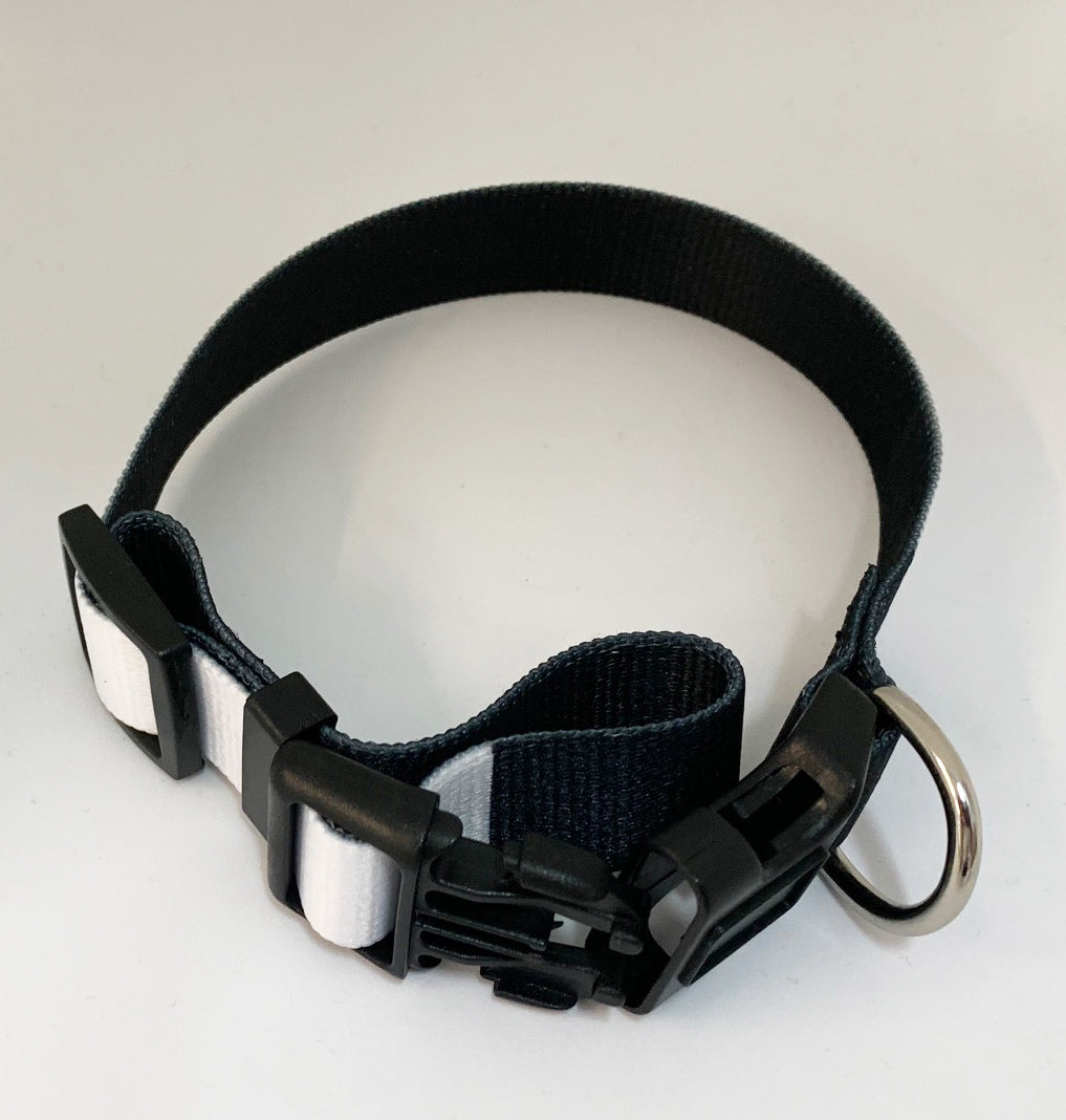 Hundehalsband, 2 Größen - Sublishop.net GmbH