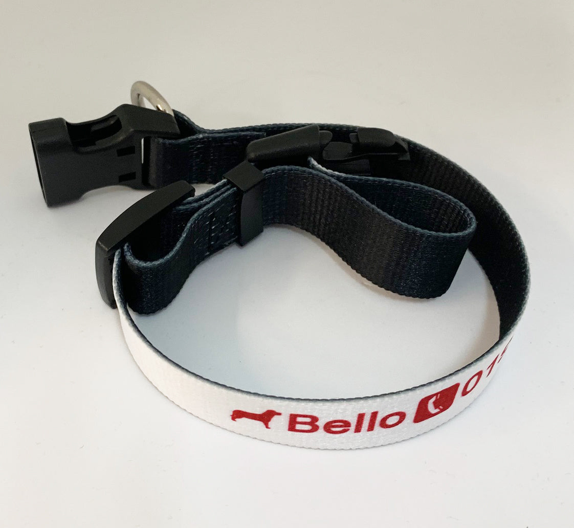 Hundehalsband, 2 Größen - Sublishop.net GmbH