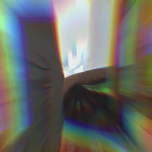 Laden und Abspielen von Videos im Galerie-Viewer, Pflanzenschild
